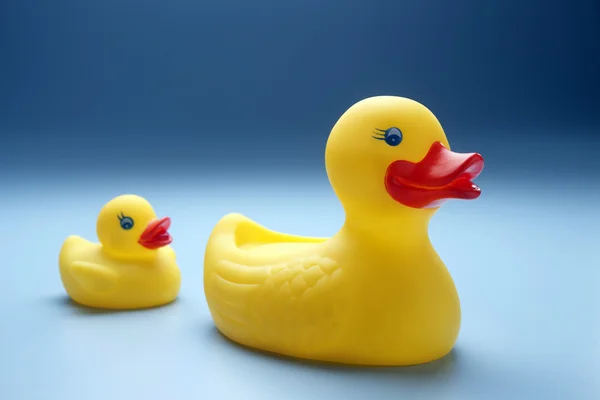 stock image Rubber ducks