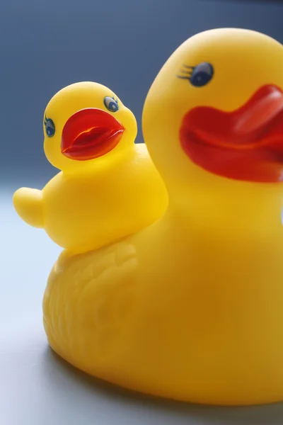 stock image Rubber ducks