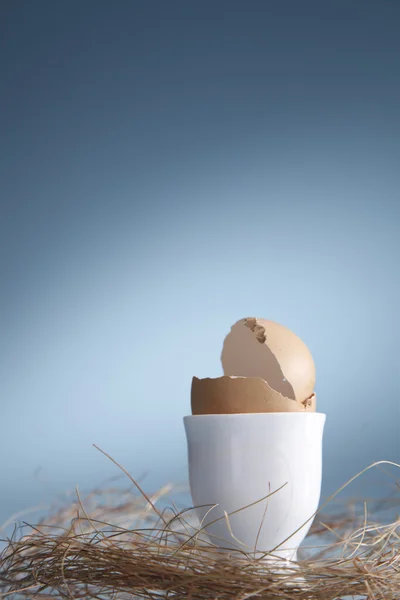 Cracked egg in an egg cup in a nest. — Stock Photo, Image
