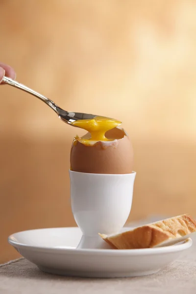 Stock imagen huevo —  Fotos de Stock