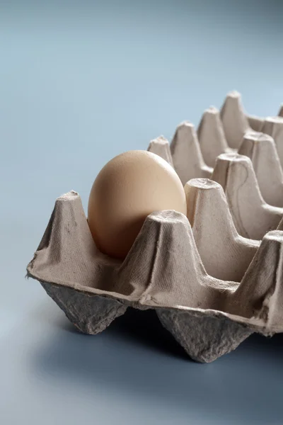 Primer plano del huevo — Foto de Stock