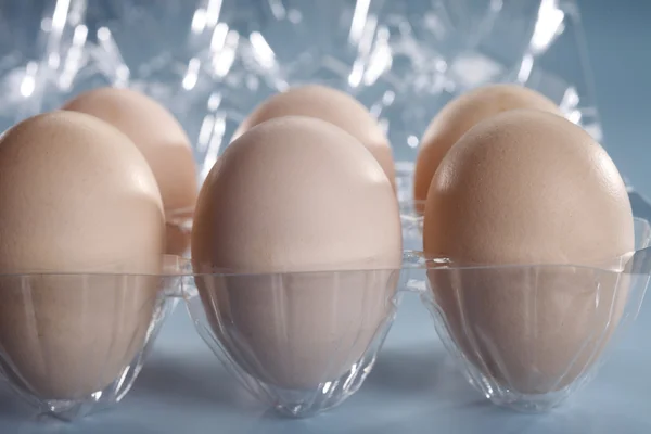 Detailní záběr na vejce — Stock fotografie