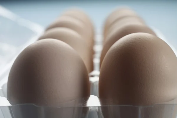 Δεκάδες αυγό — Φωτογραφία Αρχείου