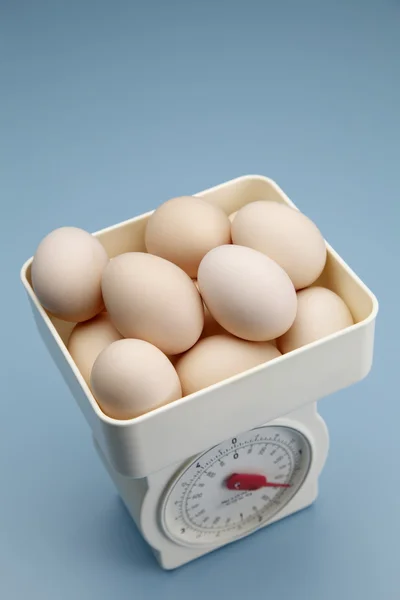 Imagem de estoque do ovo na escala — Fotografia de Stock