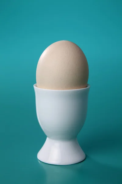 Одне яйце — стокове фото