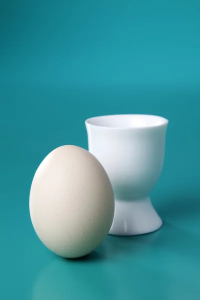 Одне яйце — стокове фото