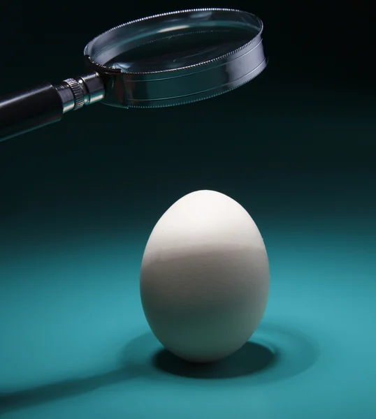 Αυγό κάτω από το μεγεθυντικό φακό — Φωτογραφία Αρχείου