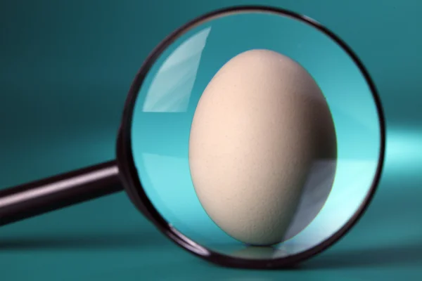 Яйцо под увеличителем — стоковое фото