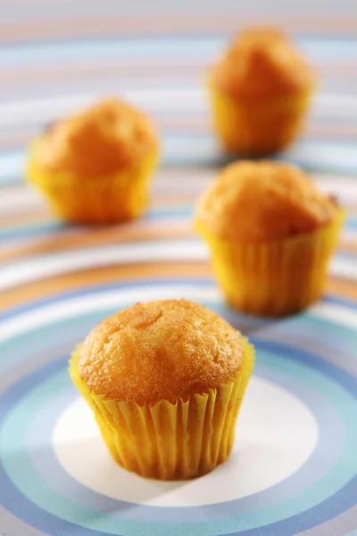 stock image Muffins