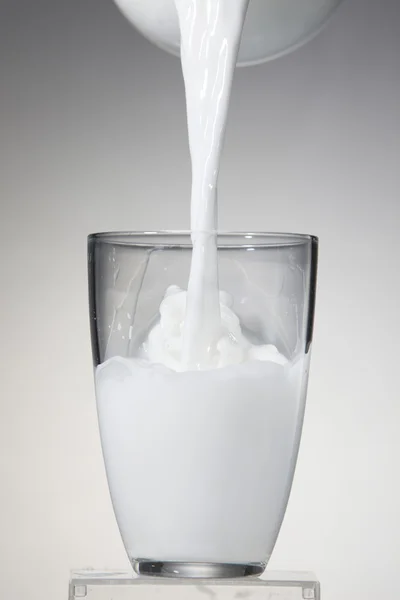 stock image Milk