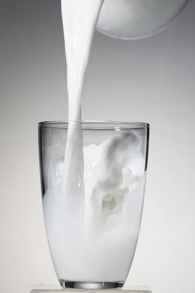 stock image Milk