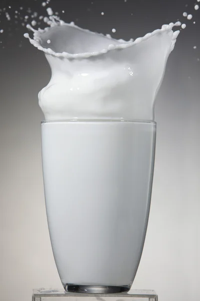 stock image Milk