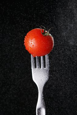 Tomato clipart