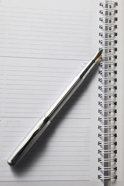 Kalem ve Organizatör — Stok fotoğraf