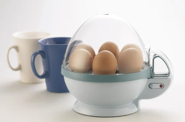 Yumurta kazan — Stok fotoğraf