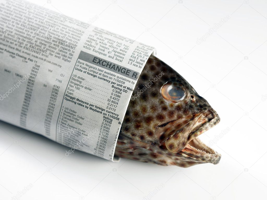 Resultado de imagem para peixe embrulhado com jornal