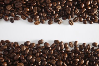 Cooffee bean clipart