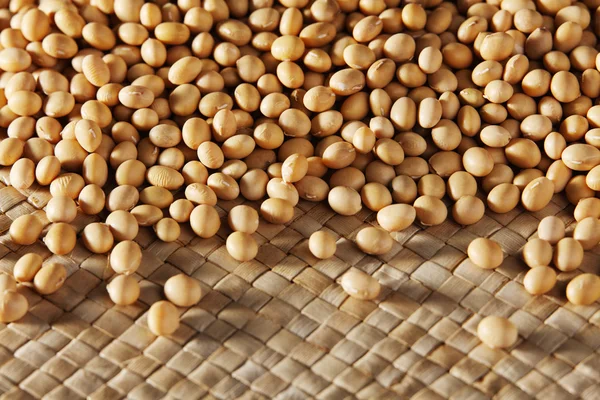 Soy bean — Stock Photo, Image