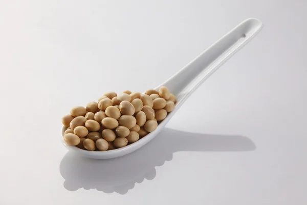 Spoon with bean — Stock Photo, Image