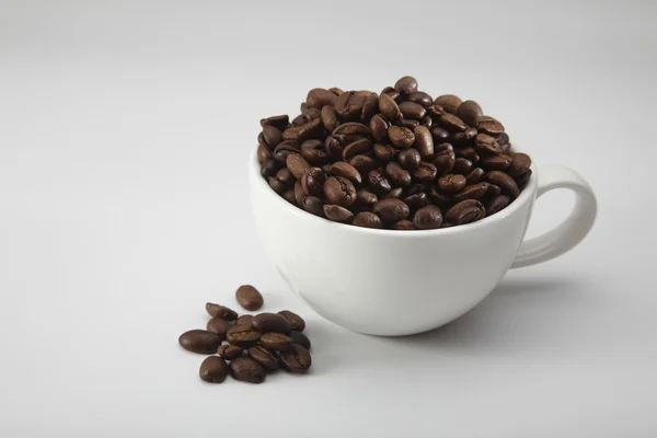 stock image Coffee bean