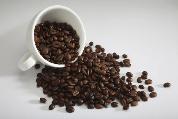 stock image Coffee bean