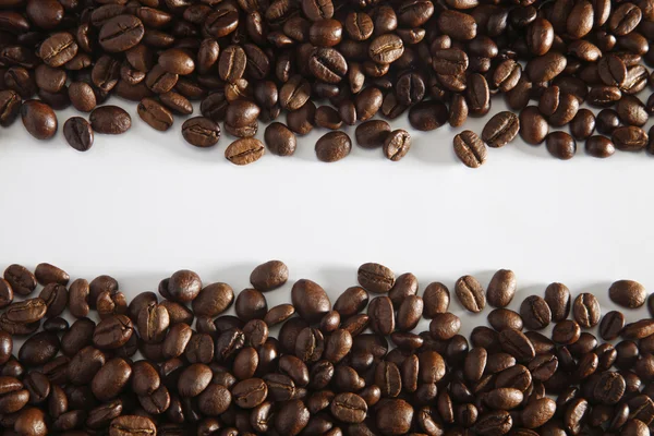 stock image Cooffee bean