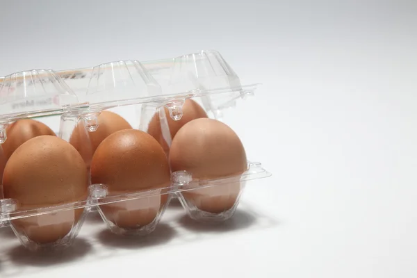 Лоток яйце — стокове фото