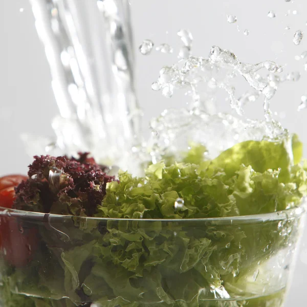Close up van de salade — Stockfoto