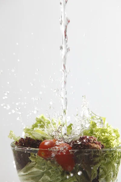 Nær salaten – stockfoto