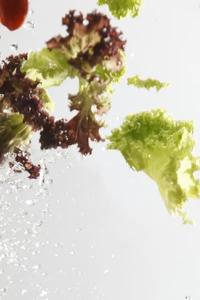 Close up van de salade wassen met water splash — Stockfoto