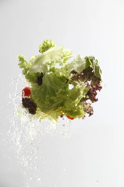 Close up van de salade wassen met water splash — Stockfoto
