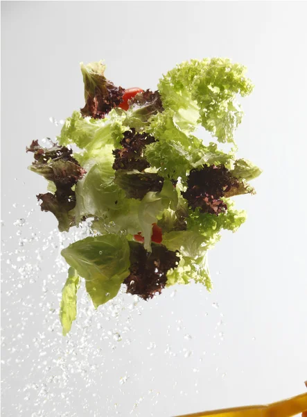 Close up of the washing salad with water splash — Stock Photo, Image