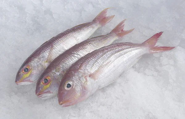 Kerisik fish — Stock Photo, Image