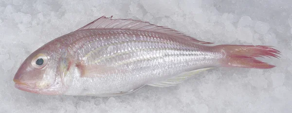 Kerisik fish — Stock Photo, Image
