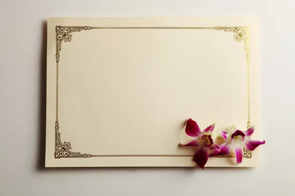 Scatto di un certificato in bianco sullo sfondo normale — Foto Stock