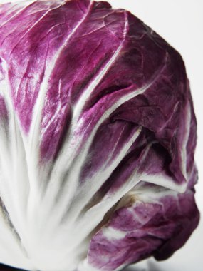 Purple cabbage clipart