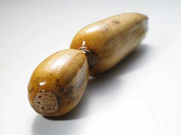 Lotus Root — Stok fotoğraf