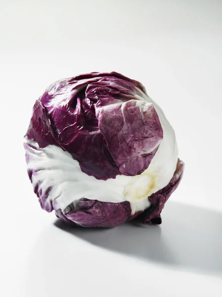 Purple cabbage — Stock Photo, Image