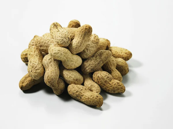 stock image Peanut