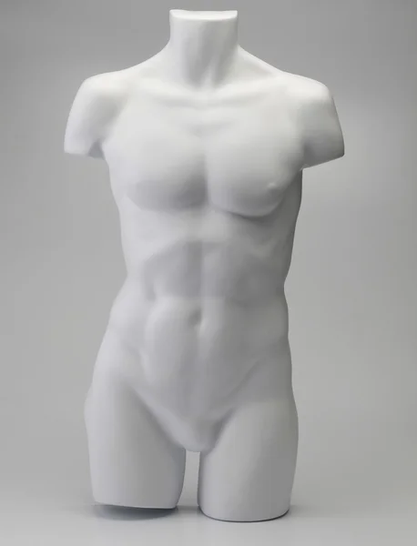 Male mannequin on the plain background