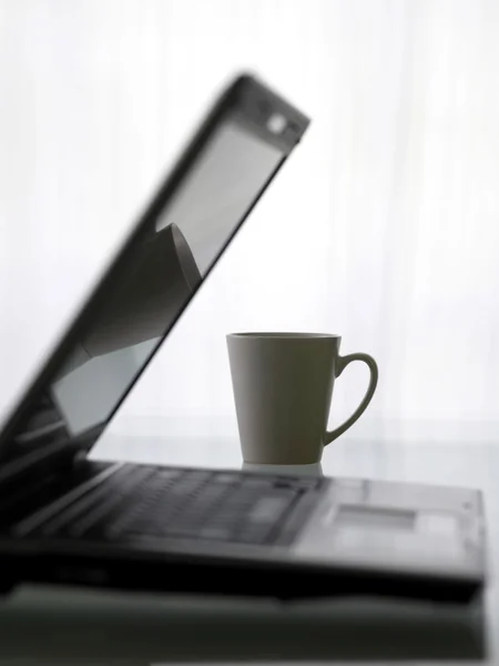 Cup och laptop — Stockfoto