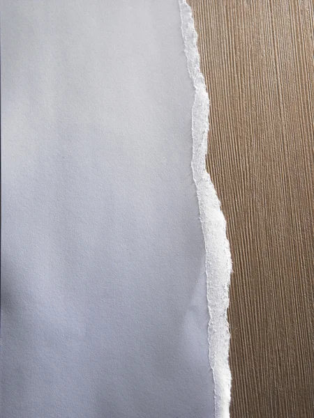 Libro bianco strappando a metà — Foto Stock