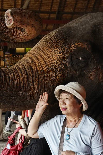 Tajlandia, bangkok, ogród różany, tajski kobieta robi zdjęcie blisko słoń — Zdjęcie stockowe