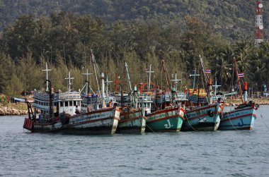 Tayland, koh phangan, kıyı yerel ahşap balıkçı tekneleri