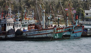 Tayland, koh phangan, kıyı yerel ahşap balıkçı tekneleri