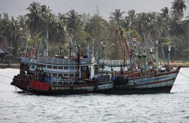 Tayland, koh phangan, kıyı yerel ahşap balıkçı tekneleri