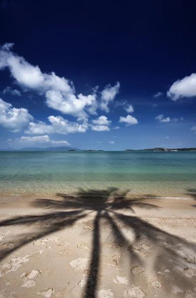Tailândia, Koh Samui (Samui Island), vista de uma praia com sombras de palmeiras — Fotografia de Stock