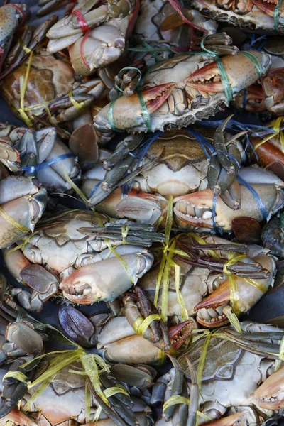 泰国苏梅岛 (苏梅岛），热带螃蟹在当地鱼出售 — 图库照片