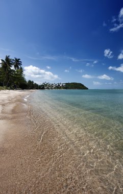 Tayland, koh samui (samui Adası), plaj ve Hindistan cevizi hurma ağaçlarının görünümü