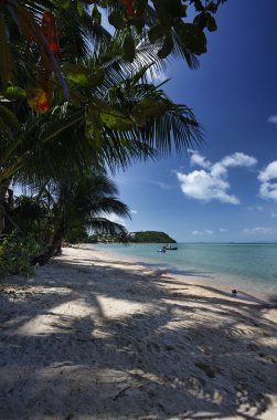 Tayland, koh samui (samui Adası), plaj ve Hindistan cevizi hurma ağaçlarının görünümü